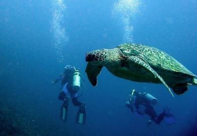 Gili T, Lombok, Indonesia